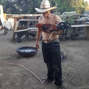 Meet your Posher, Armando