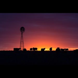 Meet your Posher, Niki