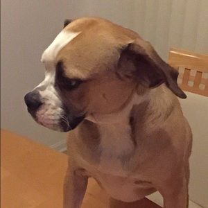 Meet your Posher, Grace