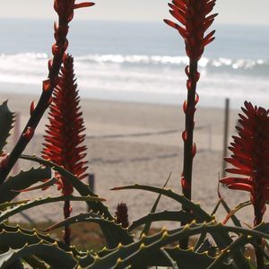 Meet your Posher, Nadine