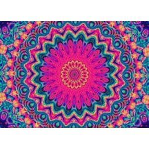 Meet your Posher, Kassie