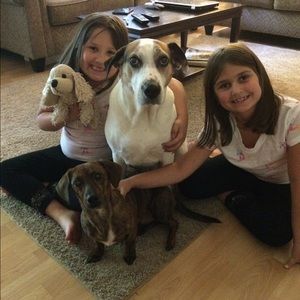 Meet your Posher, Amy