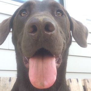 Meet your Posher, Kate