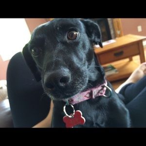 Meet your Posher, Jess