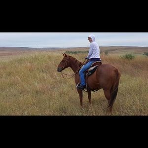 Meet your Posher, Robin