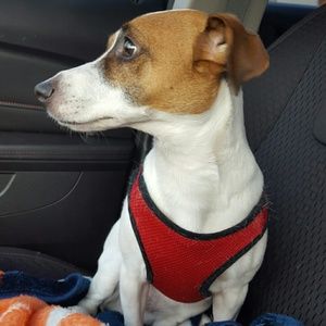 Meet your Posher, Kristen