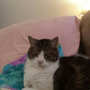 Meet your Posher, Mary