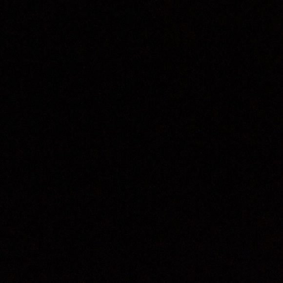 Meet your Posher, Bailey