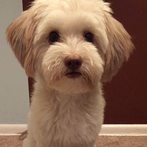 Meet your Posher, Derek