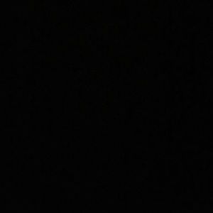 Meet your Posher, Griselys