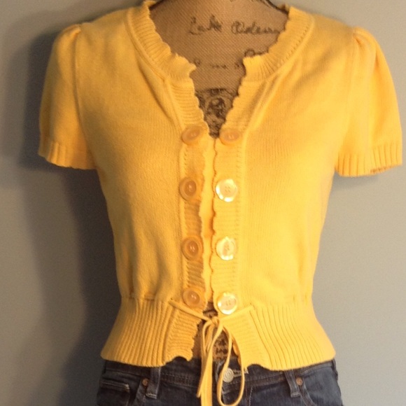Fitted, Knit Top