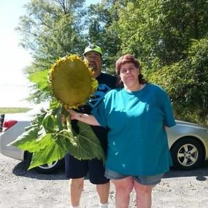 Meet your Posher, Denise