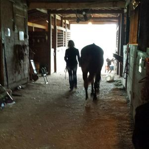 Meet your Posher, Heather