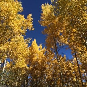 Meet your Posher, Tori