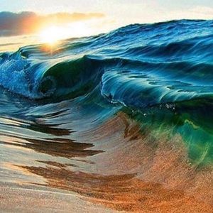 Meet your Posher, Jordan