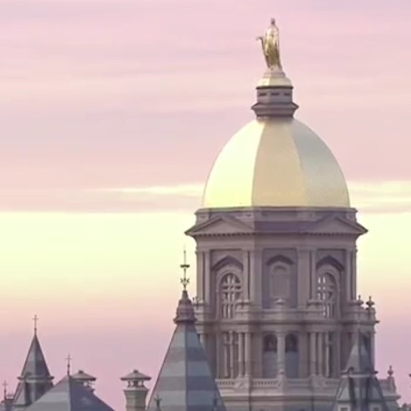 Meet your Posher, Jacqueline