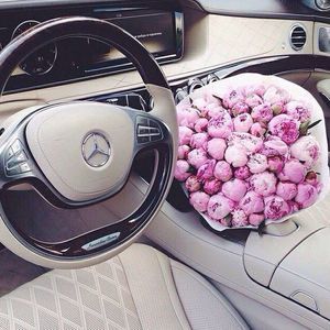 Meet your Posher, Nainai