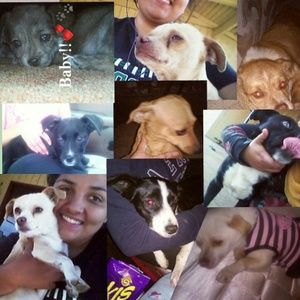 Meet your Posher, Tatiana