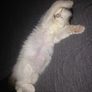 Meet your Posher, Christine