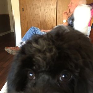 Meet your Posher, Jody