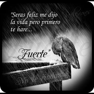 Meet your Posher, Alma