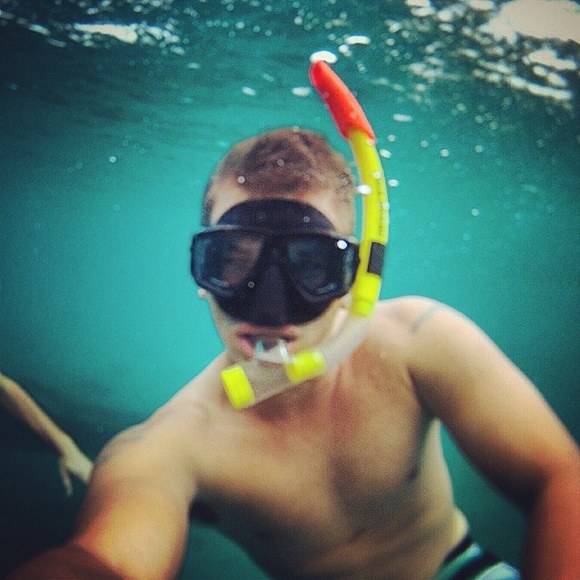 Meet your Posher, Mikey - Picture 1 of 1