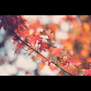 Meet your Posher, Claire