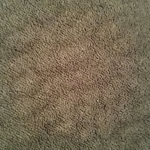 Meet your Posher, Colette