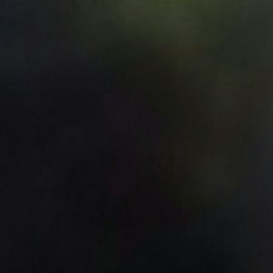 Meet your Posher, Tamara