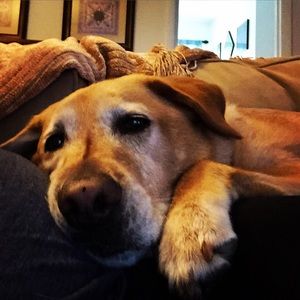 Meet your Posher, Ali