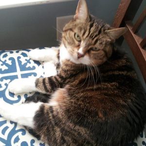 Meet your Posher, Carrie