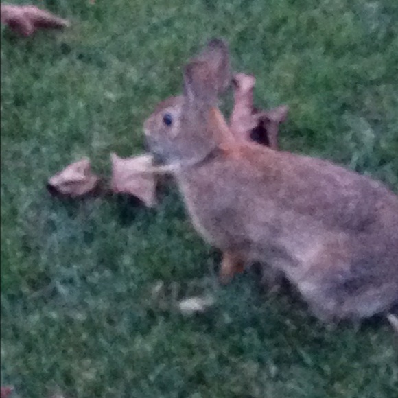 Meet your Posher, Ethan