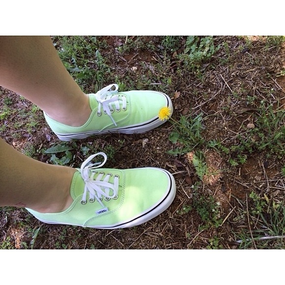 VANS in Authentic style