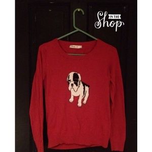 Pumpkin colored Bulldog Sweater