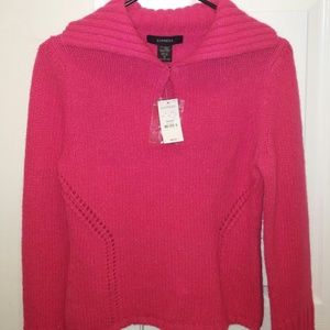 Nwt Express Sweater