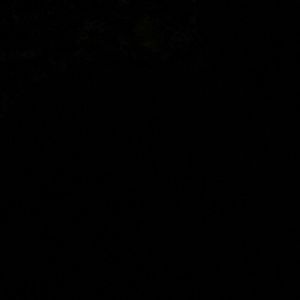 Meet your Posher, Fatima