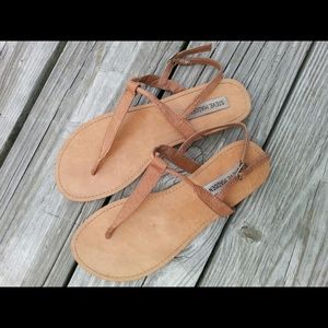 Steve Madden Chesnut Sandals