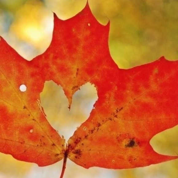 Meet your Posher, Carol