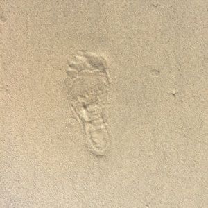 Meet your Posher, Katrina