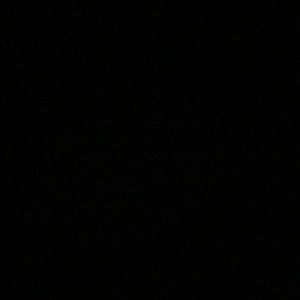 Meet your Posher, Elsa