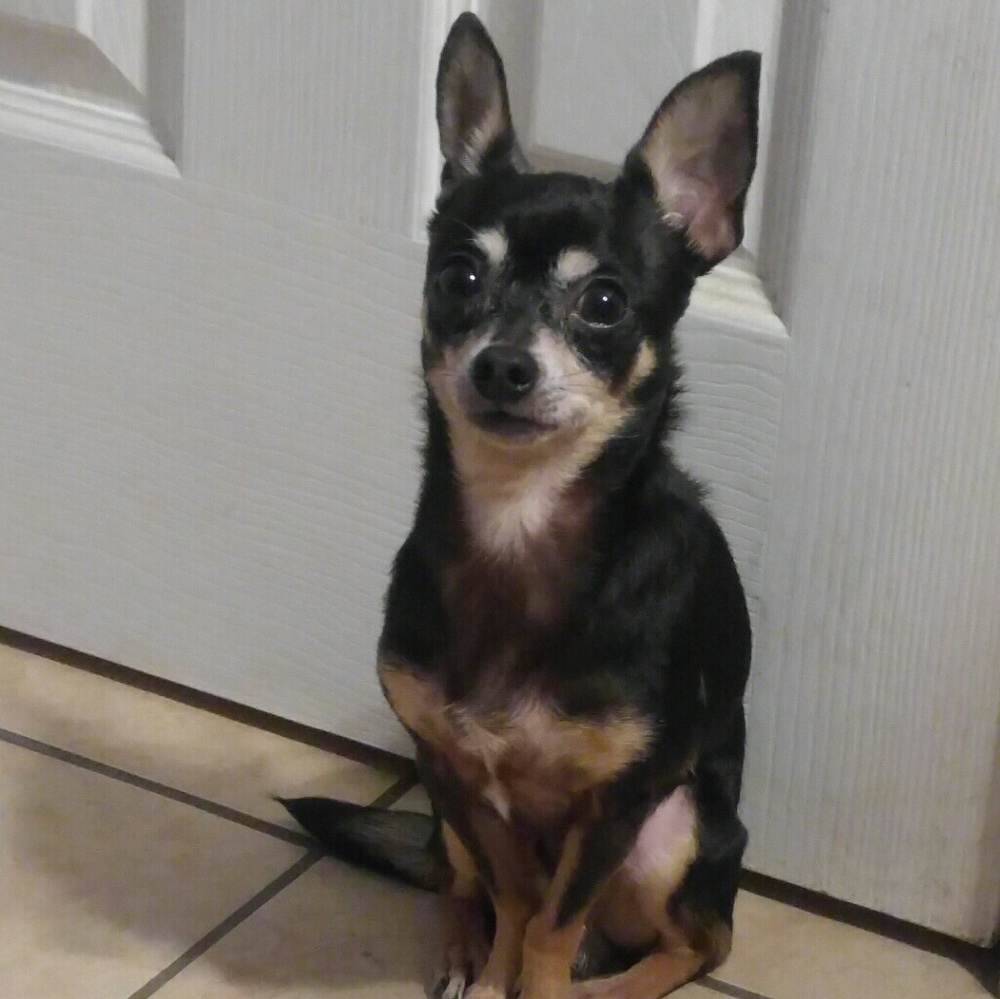 Meet your Posher, Nancy