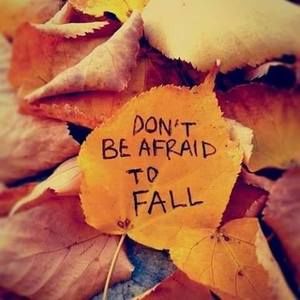 Meet your Posher, Sherry