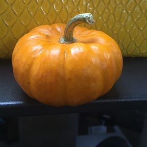 Meet your Posher, Shakerah