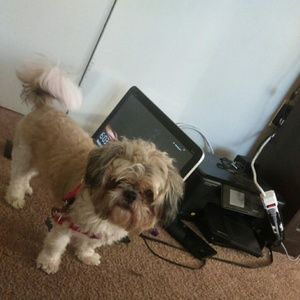 Meet your Posher, Tyshawna