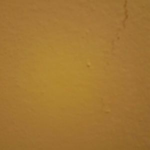 Meet your Posher, Ivy