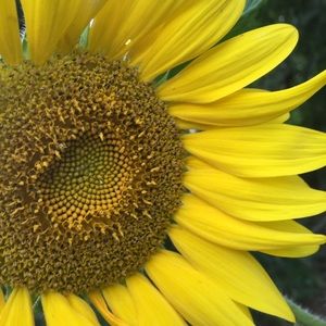 Meet your Posher, Cathy