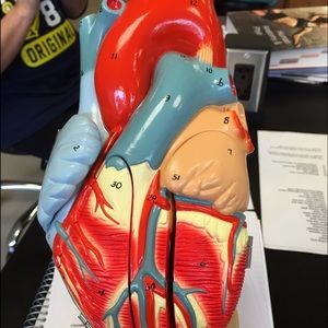 Meet your Posher, Jade