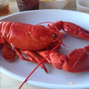 Meet your Posher, Alaina