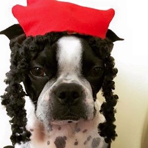 Meet your Posher, Jan