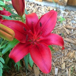 Meet your Posher, Marcy